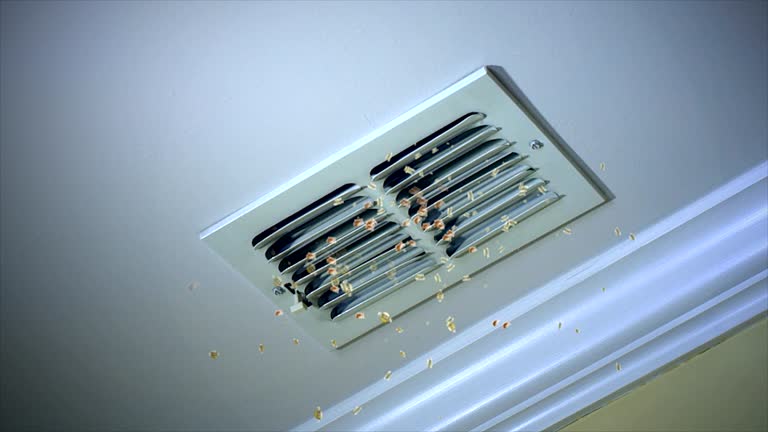 Best Residential Air Duct Cleaning  in Ballville, OH